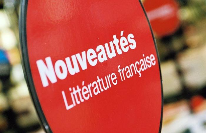 Libreria: comprare meno per vendere meglio, la scommessa vincente della “tregua delle novità”