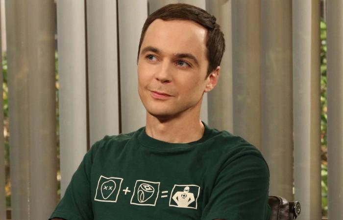 questi 5 personaggi provengono da Friends o da The Big Bang Theory?