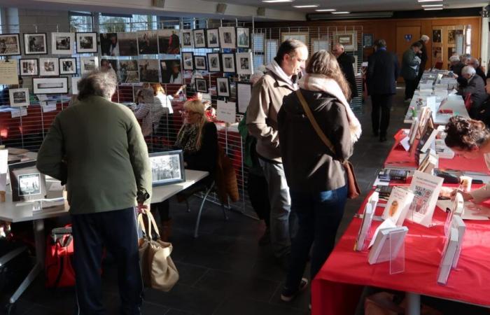 XVI edizione del Mercatino del Libro di Natale