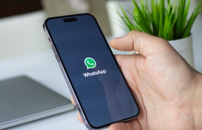 WhatsApp: non dimenticherai mai più i tuoi messaggi in sospeso grazie a questa nuova funzione