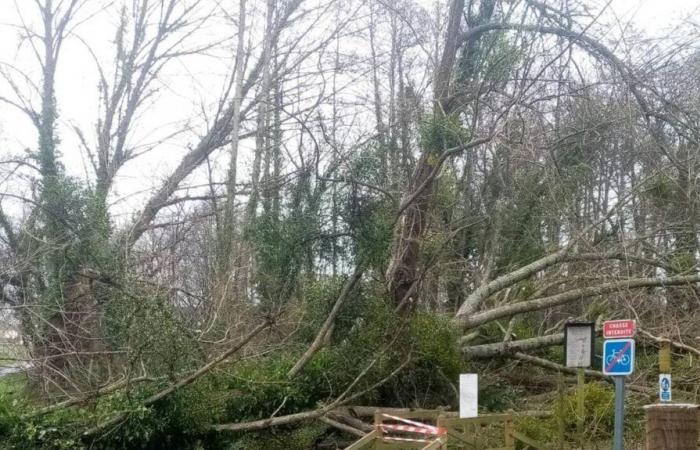 inondazioni, alberi caduti… Molti interventi questo fine settimana in Normandia