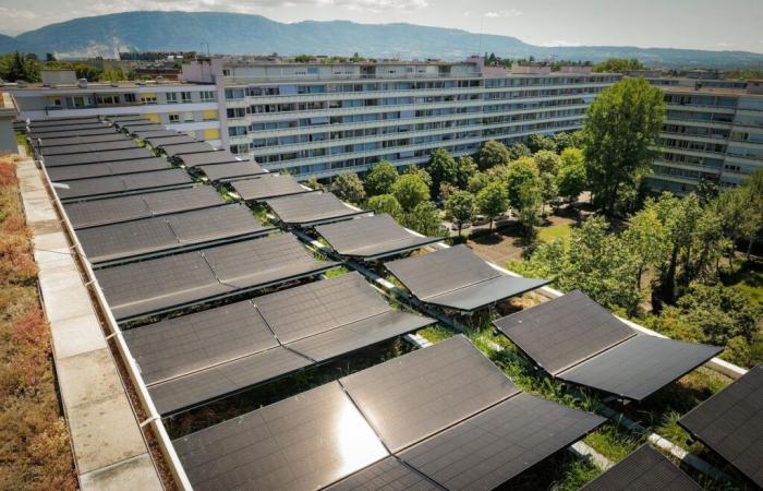 Energie rinnovabili: Ginevra punta su una strategia solare