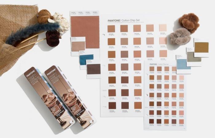 Mocha Mousse, il marrone cioccolato eletto colore Pantone del 2025