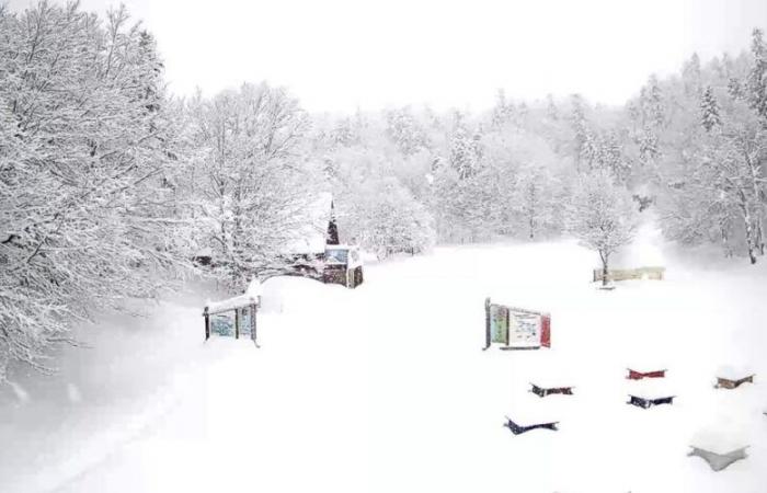 Neve sui Pirenei Atlantici: a Gourette, Lescun, La Pierre Saint-Martin, il manto bianco prende forma