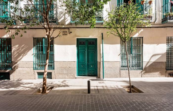 Un appartamento nel centro di Madrid con decorazioni bohémien chic