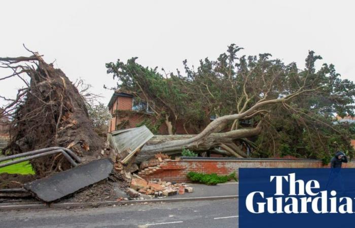 La pulizia inizia dopo i danni causati dalla tempesta Darragh, che ha causato la morte di due uomini | Meteo nel Regno Unito