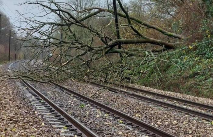 Tempesta Darragh. Niente treni in Normandia questo fine settimana: quando riprenderà il traffico?