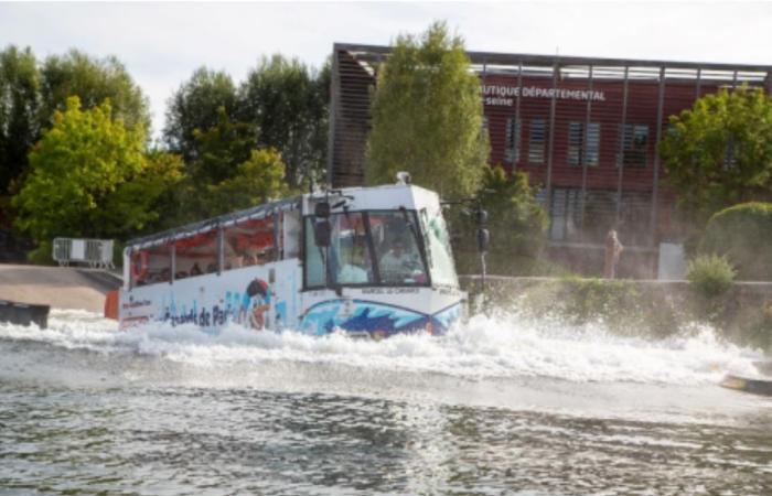 come “Marcel the Duck”, un autobus turistico anfibio, ha salvato una donna dall'annegamento