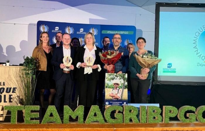 Due aziende agricole della Manica vincono un premio per la loro prestazione