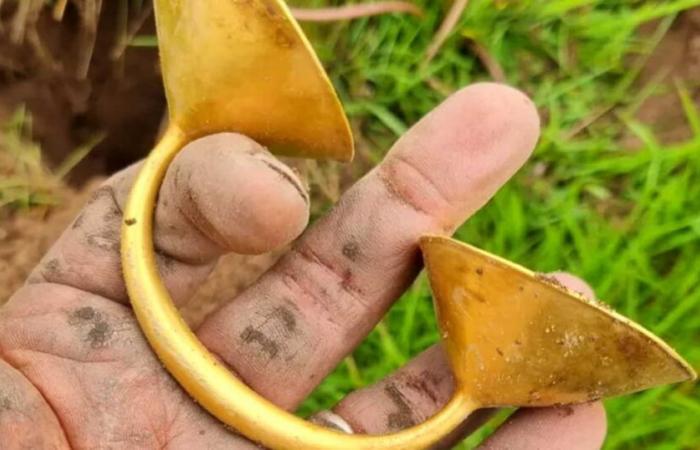 “Avevo molte più possibilità di vincere alla lotteria!” » In Inghilterra, un pensionato scopre per caso un raro oggetto d'oro di 3000 anni