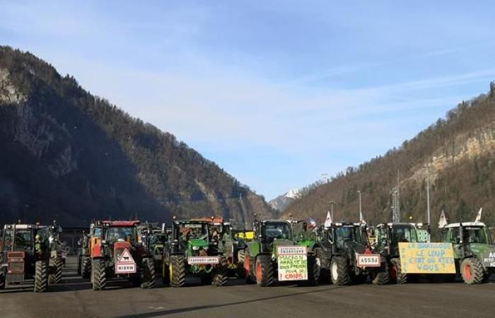 sentinelle per prevenire il suicidio degli agricoltori