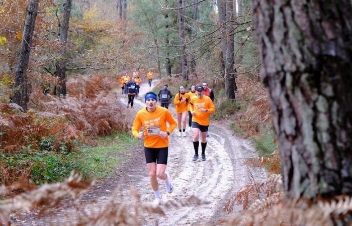 Più di 700 partecipanti al Trail des Sables de Cauderoue