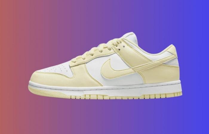 Queste Dunk Low molto richieste sono ancora a un prezzo stracciato questa settimana