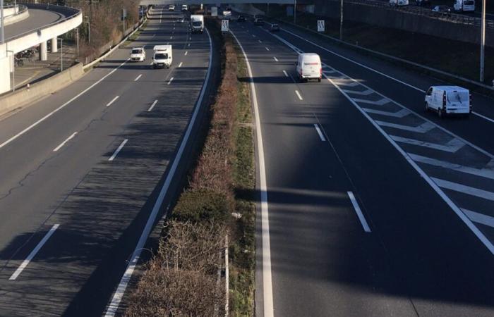 Gli ambientalisti firmano una piattaforma contro il progetto dell'autostrada