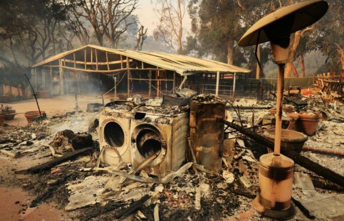 Il fuoco si propaga rapidamente a Malibu, vicino a Los Angeles