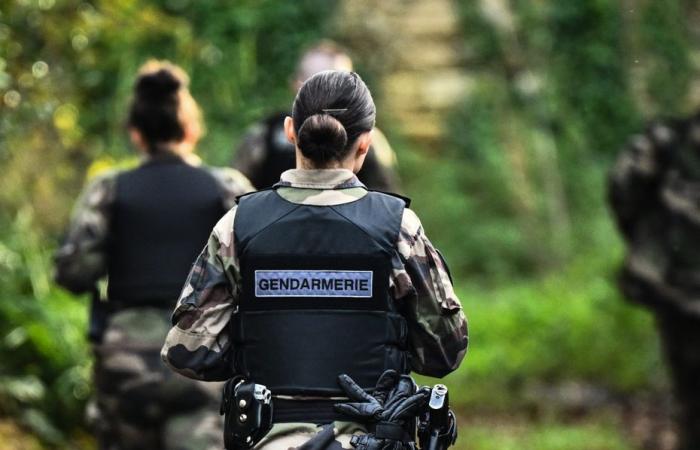 DIRETTO. Morgane Rivoal trovata viva a Coutances, un uomo di 21 anni preso in custodia dalla polizia: segui le ultime informazioni