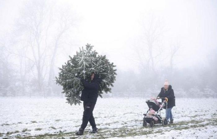 Avremo un bianco Natale per la prima volta in 14 anni?