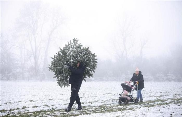 Avremo un bianco Natale per la prima volta in 14 anni?