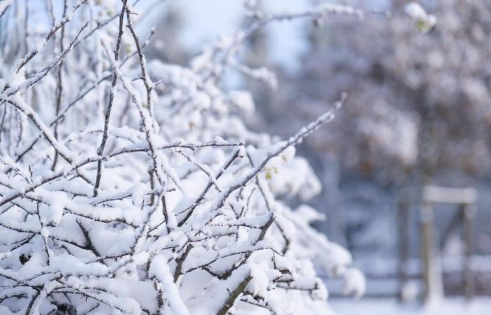 Avremo un bianco Natale per la prima volta in 14 anni?