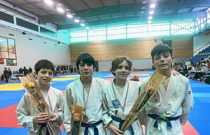 Al Dojo Bélon Aven, due titoli minimi di campione del Finistère