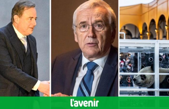 Debrief della giornata: De Wever rinnovato come allenatore | Lettera: Josy Arens è morta | I 3 panda salutano Pairi Daiza