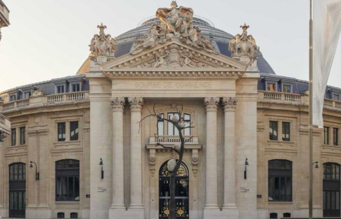 A Parigi, una mostra magistrale svela finalmente la potente bellezza dell'Arte Povera