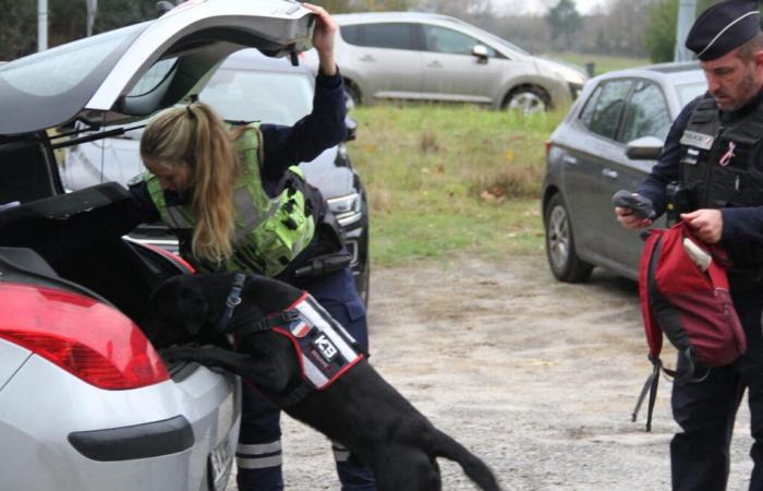 Lande. Con l'avvicinarsi delle vacanze, la polizia si è mobilitata: “pensate chi sarà Sam”