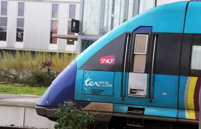 RER, Transilien, TER, quali interruzioni questo giovedì 12 dicembre?