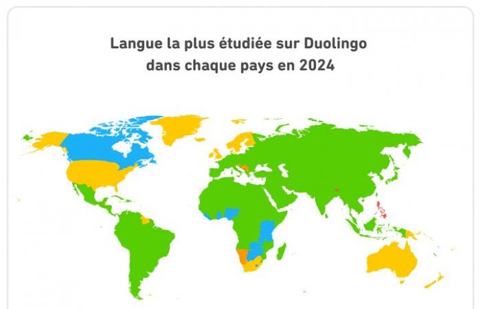 Inglese, spagnolo, italiano… Quali lingue saranno le prime nel 2024 sull’applicazione Duolingo?