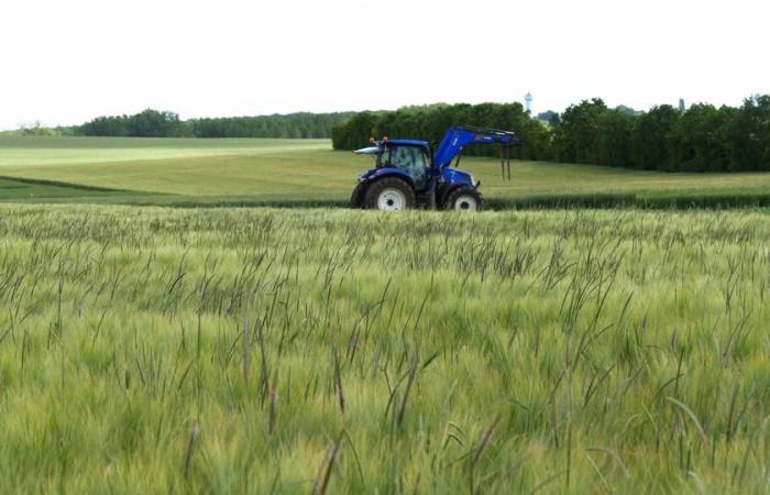 La Commissione Europea rimette in carreggiata il Comitato Europeo dell’Agricoltura: qual è il suo ruolo?