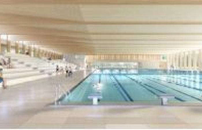 Una piscina olimpionica dovrebbe vedere la luce nel 2029 a sud della metropoli di Nantes