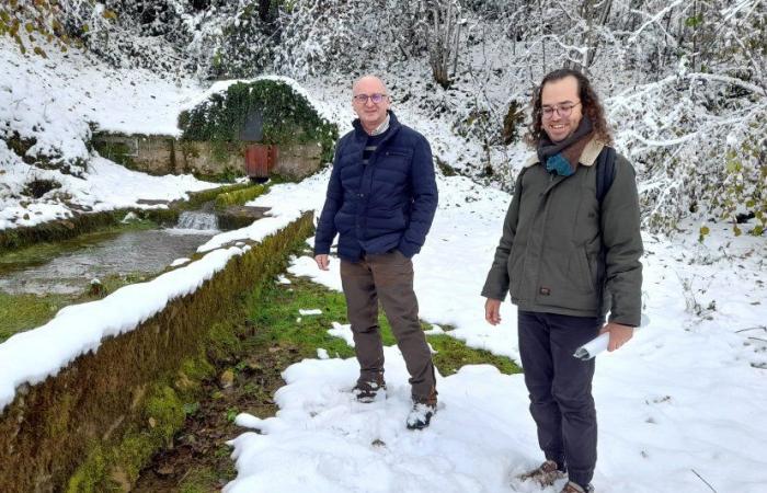 Parco forestale nazionale: un primo divertente percorso