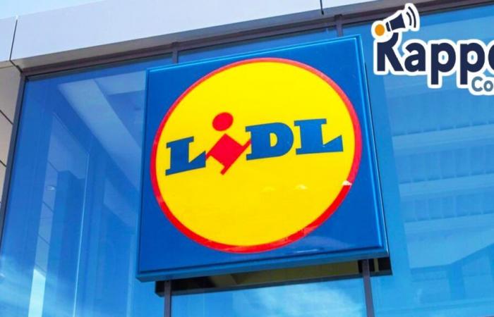 Lidl lancerà un massiccio ritiro urgente in tutta la Francia per questo prodotto francese di punta alla fine dell’anno