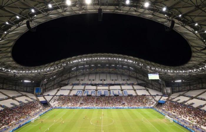 Tifoso dell’Atalanta Bergamo squalificato per 3 anni dallo stadio in Francia