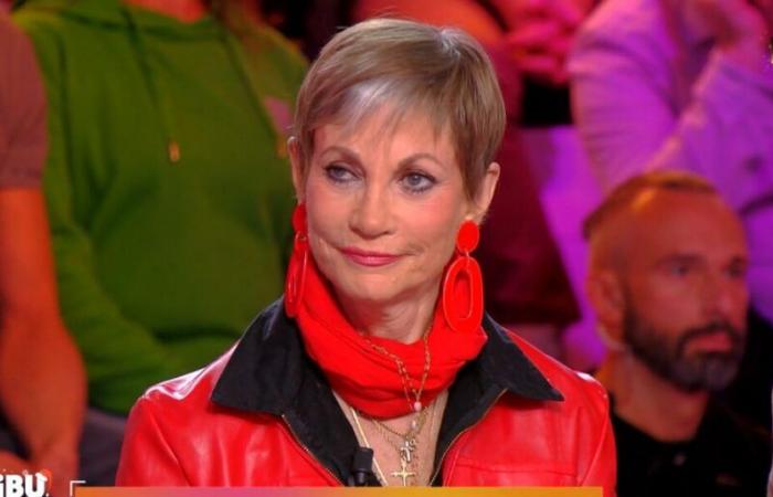 Isabelle Morini-Bosc fa rare confidenze al TPMP sul fratellino “gravemente ustionato”