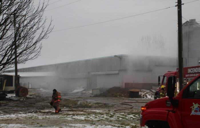 Il giornale Saint-François | Incendio in un porcile a Saint-Louis-de-Gonzague