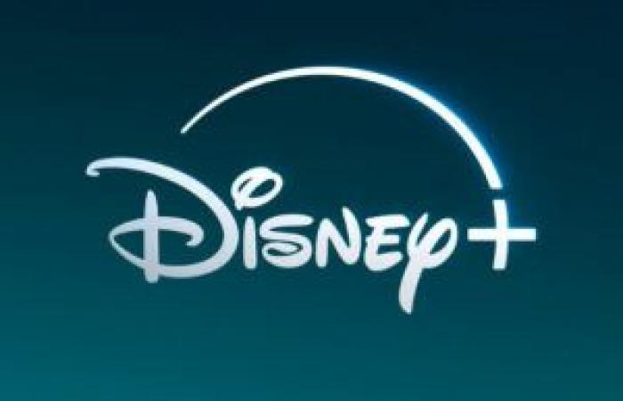 Disney+: i “canali” dovrebbero arrivare il prossimo anno in Francia