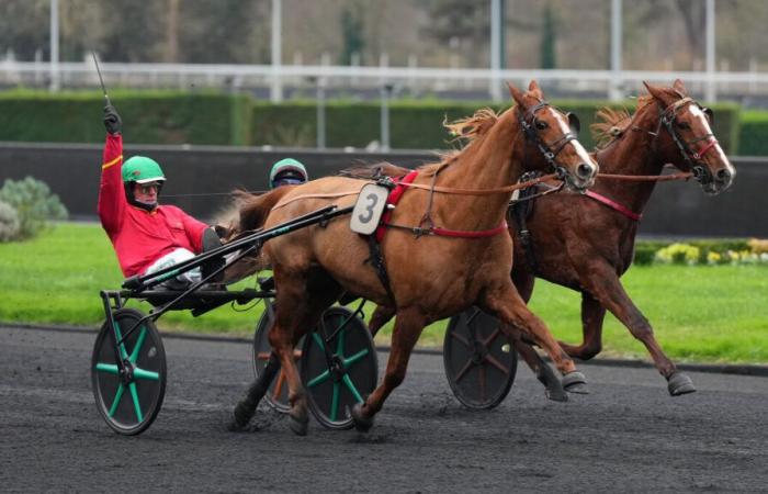 PMU – Arrivo del quinte mercoledì 11 dicembre a Parigi-Vincennes: la Grande Tigre ama la velocità