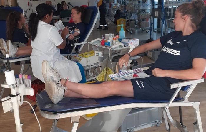 Blagnac. Donazione sangue: la raccolta si avvicina