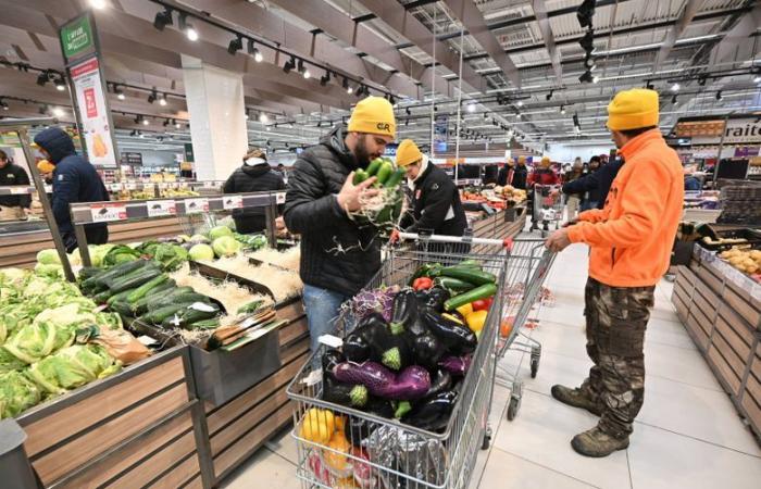 RIGIOCARE. Rabbia tra gli allevatori: blocco dei pedaggi autostradali, rimozione della carne dagli scaffali di un ipermercato… il tono si alza a Tolosa