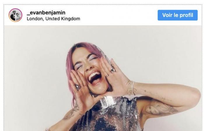 Evanbenjamin, la coppia svizzera francofona che sedusse Rita Ora