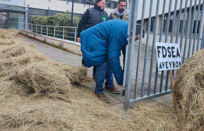 La rabbia degli agricoltori: PAC, Mercosur, attacchi di lupi e avvoltoi, la FDSEA e la JA dell'Aveyron si fanno (di nuovo) sentire