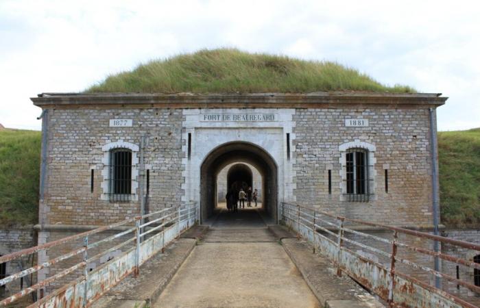 Vicino a Digione. Un privato acquista questo immenso monumento storico, ecco il suo progetto