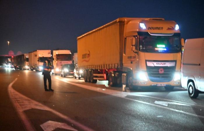 RIGIOCARE. Rabbia tra gli allevatori: blocco dei pedaggi autostradali, rimozione della carne dagli scaffali di un ipermercato… il tono si alza a Tolosa