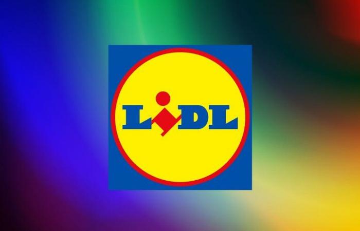 Votato miglior prodotto Lidl: questa scopa a vapore vede scendere il suo prezzo per poco tempo