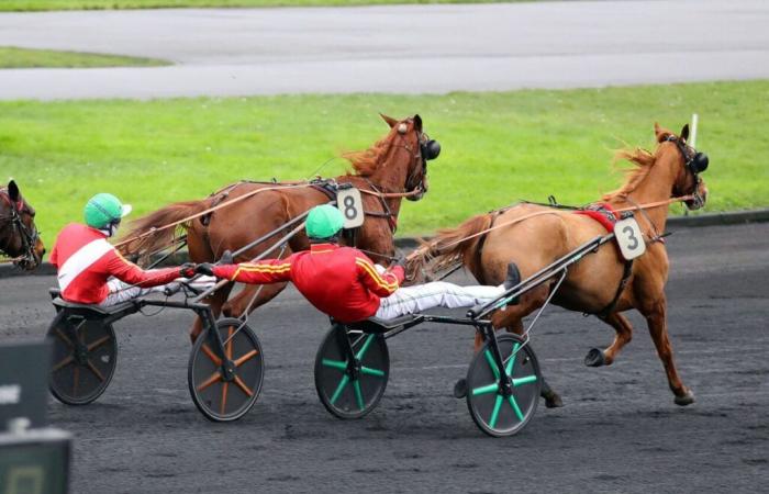 Successo totale per la giacca Séché