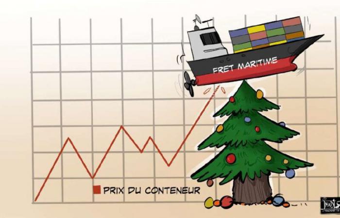 Aumento dei prezzi dei noli marittimi: l’impatto sul consumatore limitato