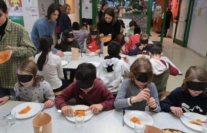 consapevolezza con un pranzo alla cieca