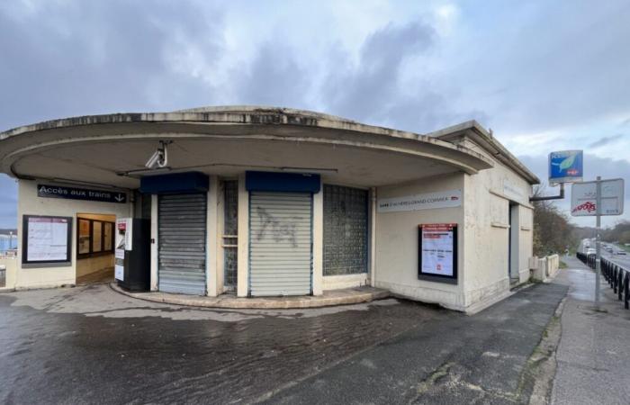 “Inutili”, “inquietanti”, “persone strane”… Benvenuti nella stazione della RER A meno trafficata