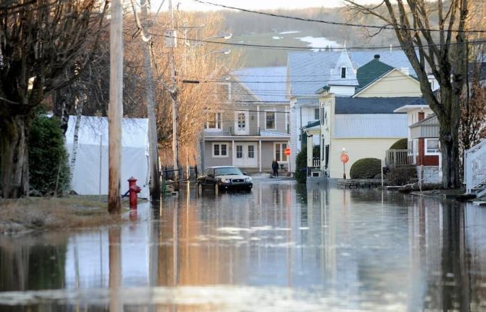 Guillaume Lemay-Thivierge, inondazioni, OD Messico: ecco cosa hanno cercato di più gli abitanti del Quebec su Google nel 2024